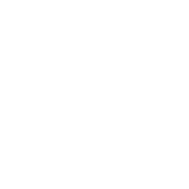 100 Jahre Rheinhessen