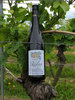  Undenheimer Goldberg Riesling Kabinett halbtrocken