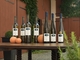 Gundheimer Grauburgunder BIO  Grauer Burgunder Qualit&auml;tswein trocken
