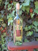   Wei&szlig;er Burgunder Qualit&auml;tswein halbtrocken
