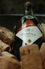 Primus VII  Riesling  trocken