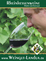 Weingut Landua - Logo