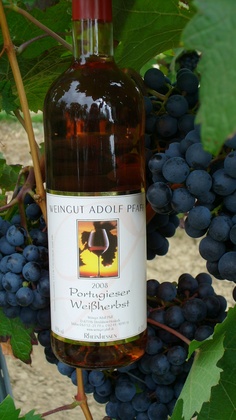  Rheinhessen Portugieser